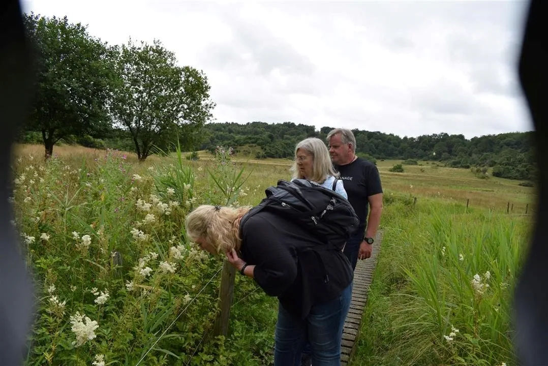 Assens and the North of Denmark 2017